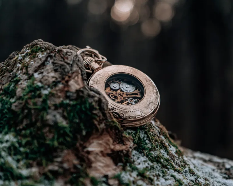 The Company Man's Safety Net: When America's Workers Didn't Have to Gamble Their Golden Years